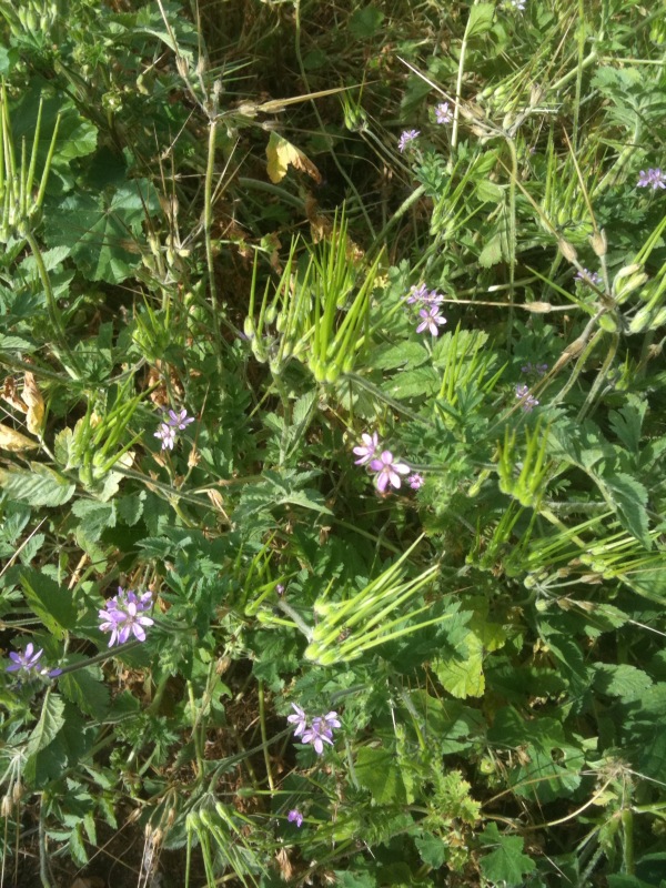 Remembering Jimmy Carter: A Legacy of Service and&nbsp;Faith