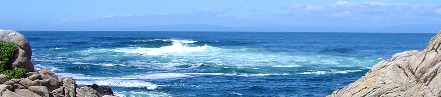 The most important&nbsp;issue…