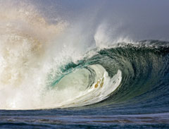 Living Gratefully: Embrace Thanksgiving Every&nbsp;Day