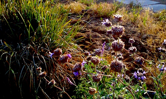 Have a nice&nbsp;day…